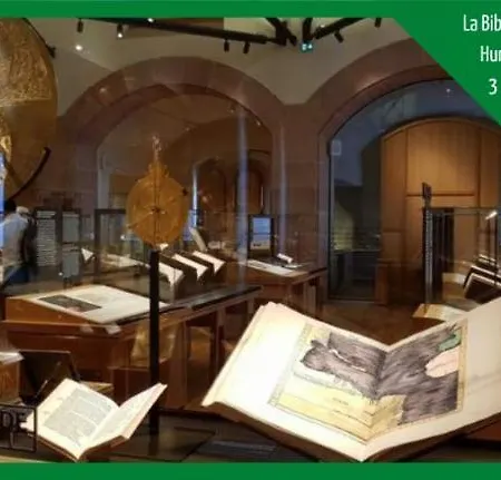 L'escale Du Centre Alsace Casa vacanze Sélestat