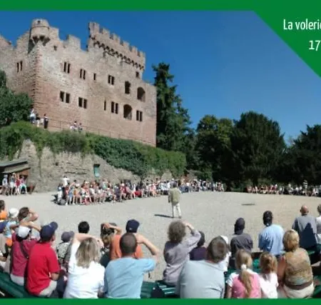 Casa vacanze L'escale Du Centre Alsace *