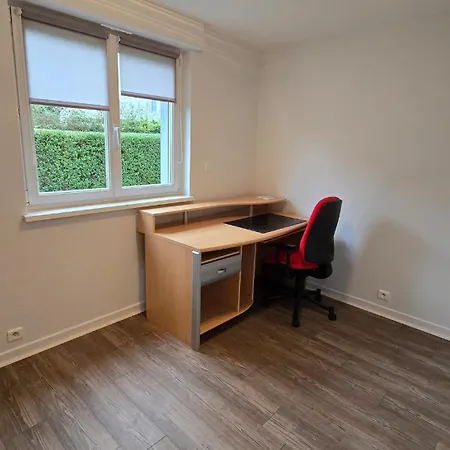 Vakantiehuis L'escale Du Centre Alsace Sélestat